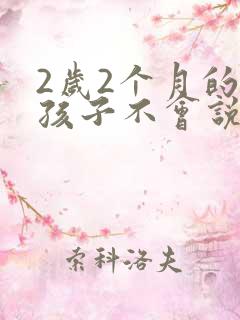 2岁2个月的男孩子不会说话