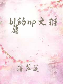 bl的np文推荐
