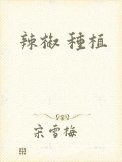 辣椒 种植