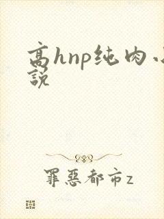 高hnp纯肉小说