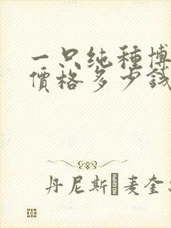 一只纯种博美狗价格多少钱