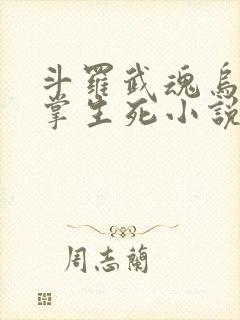斗罗武魂乌鸦执掌生死小说免费阅读