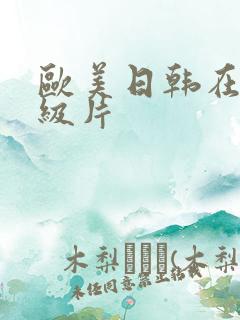 欧美日韩在线一级片