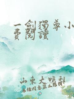一剑独尊小说免费阅读