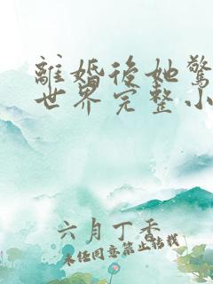 离婚后她惊艳了世界完整小说
