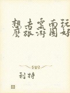 想去云南玩报什么旅游团好