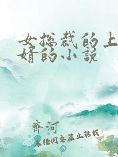 女总裁的上门龙婿的小说