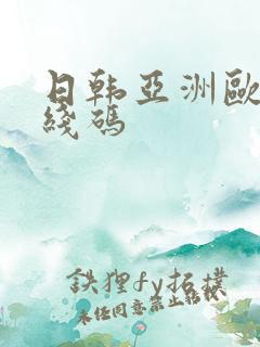 日韩亚洲欧美无线码