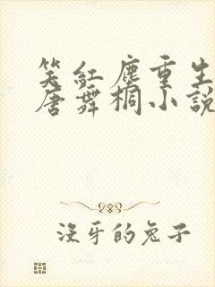 笑红尘重生爱上唐舞桐小说
