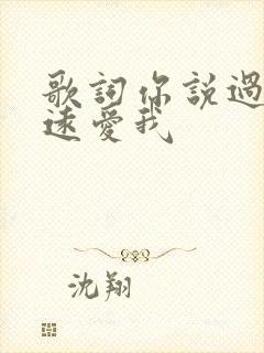 歌词你说过会永远爱我