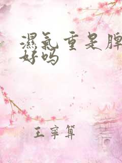 湿气重是脾胃不好吗