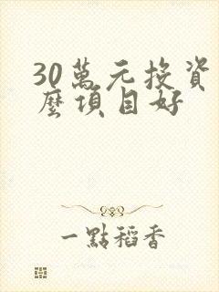 30万元投资什么项目好