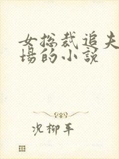 女总裁追夫火葬场的小说