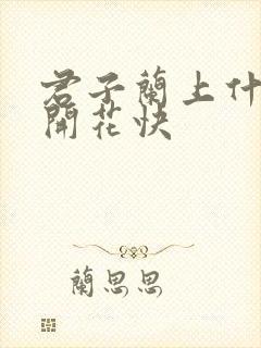 君子兰上什么肥开花快