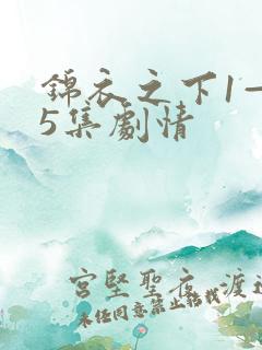 锦衣之下1—55集剧情