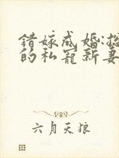 错嫁成婚:总裁的私宠新妻 小说