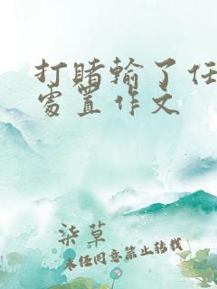 打赌输了任对方处置作文