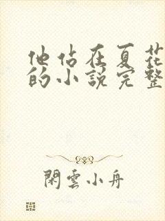 他站在夏花绚烂的小说完整