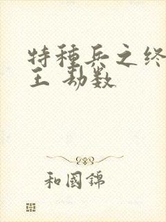 特种兵之终极兵王 劫数
