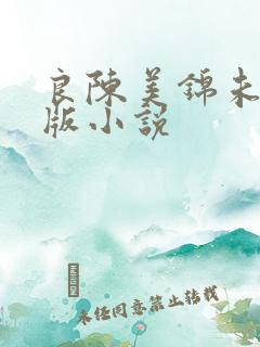良陈美锦未删减版小说