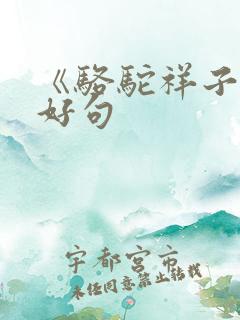 《骆驼祥子》的好句