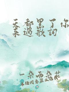 天都黑了你都没来过歌词