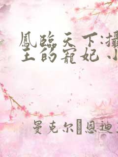 凤临天下:摄政王的宠妃 小说