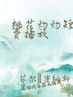 桃花灼灼短剧免费播放
