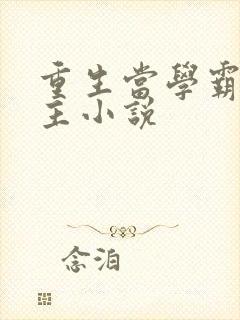 重生当学霸的女主小说