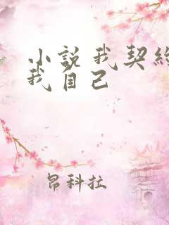 小说 我契约了我自己