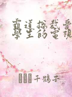 霸道总裁爱上大学生的电视剧