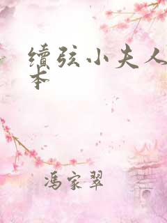 续弦小夫人 全本