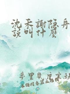 沈禾谢隐舟的小说叫什么