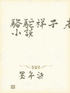 骆驼祥子 老舍小说