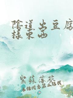 阴道出豆腐渣一样东西