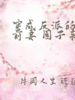 穿成反派的炮灰前妻 团子来袭