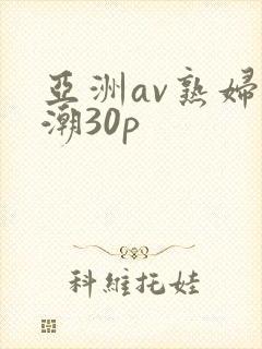 亚洲av熟妇高潮30p
