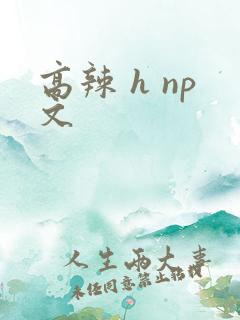 高辣 h np文