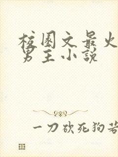 校园文最火的双男主小说