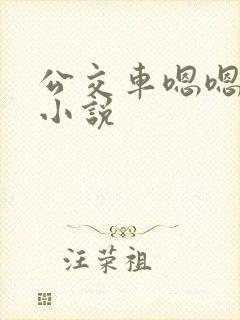 公交车嗯嗯啊啊小说