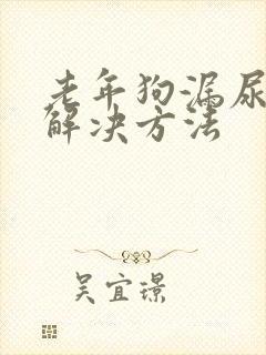 老年狗漏尿怎么解决方法