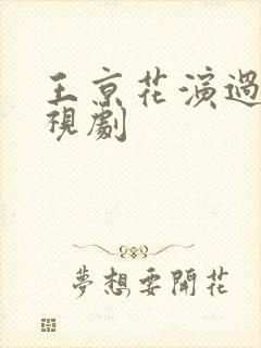 王京花演过的电视剧