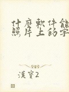 什么软件能该改照片上的字