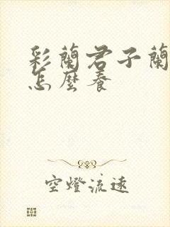 彩兰君子兰小苗怎么养
