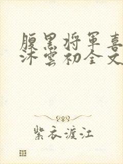 腹黑将军喜当爹沐云初全文免费阅读