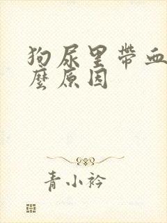 狗尿里带血是什么原因