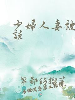 少妇人妻被弄小说