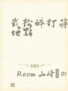 武松醉打蒋门神地点