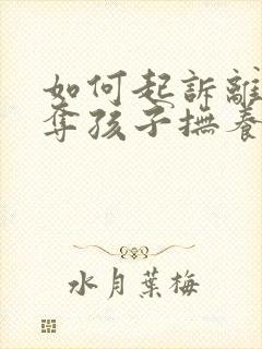 如何起诉离婚争夺孩子抚养权