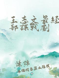 王志文最经典十部谍战剧